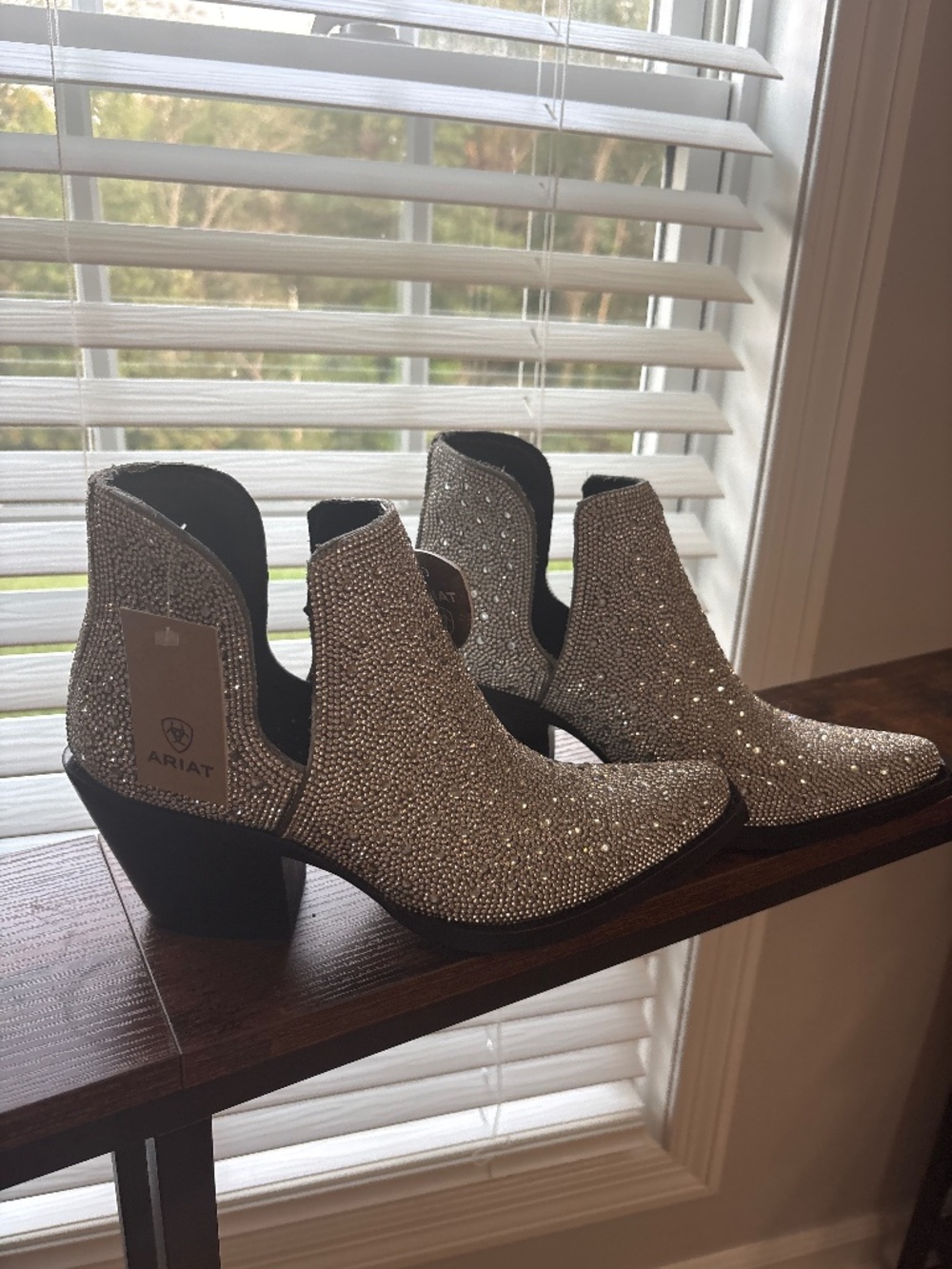 Ariat boots silver sparkly